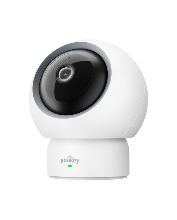 Security Camera P310